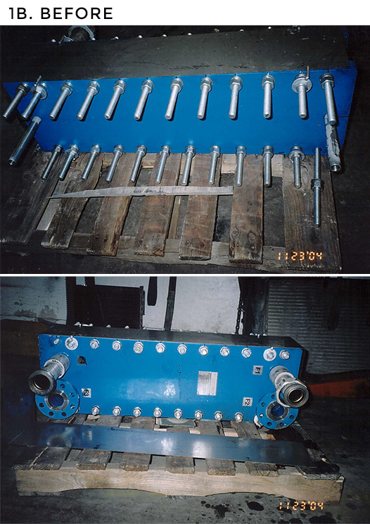 Viex-31-Plate-Before-2